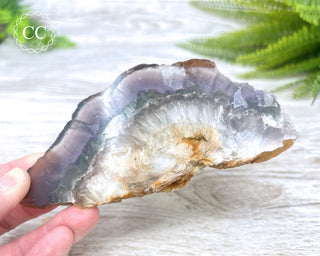 Fluorite with Marcasite Slice #1