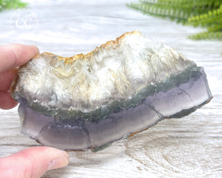 Fluorite with Marcasite Slice #2
