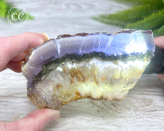 Fluorite with Marcasite Slice #2
