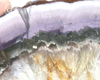 Fluorite with Marcasite Slice #2