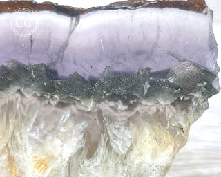 Fluorite with Marcasite Slice #2