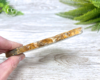 Fluorite with Marcasite Slice #1
