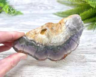 Fluorite with Marcasite Slice #1