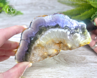 Fluorite with Marcasite Slice #1