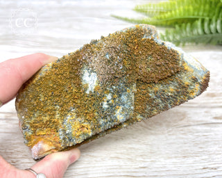 Foitite Tourmaline on Feldspar #1