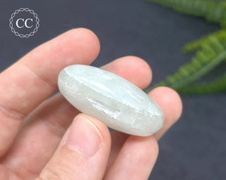 Fuchsite Mica Quartz Palm Stone #3