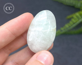 Fuchsite Mica Quartz Palm Stone #10