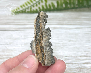 Fulgarite Specimen #6