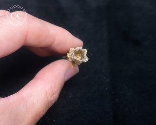 Fulgarite Specimen #5