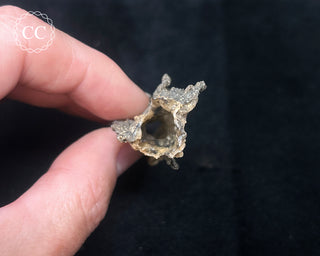 Fulgarite Specimen #6