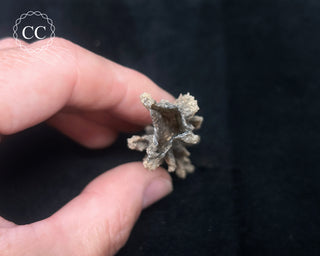 Fulgarite Specimen #7
