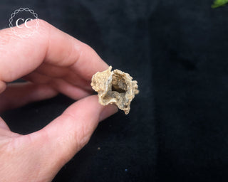 Fulgarite Specimen #2