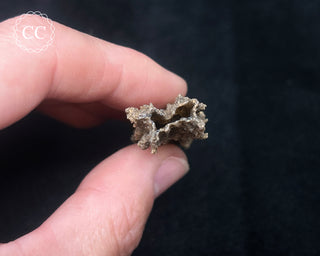 Fulgarite Specimen #8