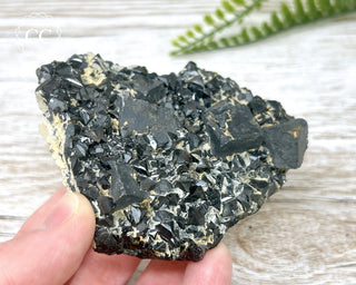 Galena and Sphalerite Specimen #8