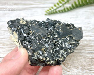 Galena and Sphalerite Specimen #8