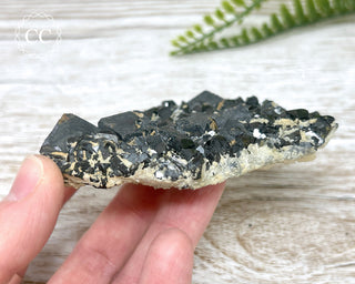 Galena and Sphalerite Specimen #8