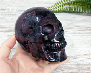 Large Garnet & Arfvedsonite Skull #1