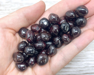 Garnet Tumbled Crystals in hand