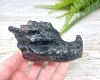 Garnet & Arfvedsonite Dragon Skull #1