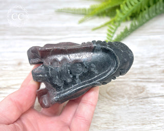Garnet & Arfvedsonite Dragon Skull #1
