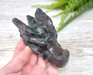 Garnet & Arfvedsonite Dragon Skull #2