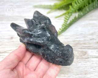 Garnet & Arfvedsonite Dragon Skull #1