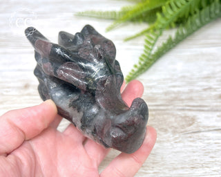 Garnet & Arfvedsonite Dragon Skull #2