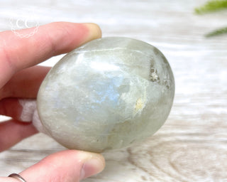 Garnierite | Green Moonstone Chunky Palm Stone #1