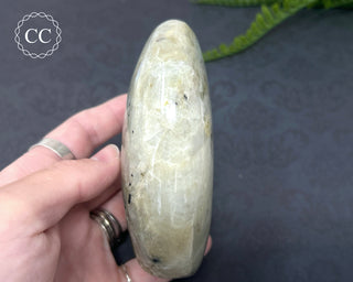 Garnierite | Green Moonstone Freeform #1