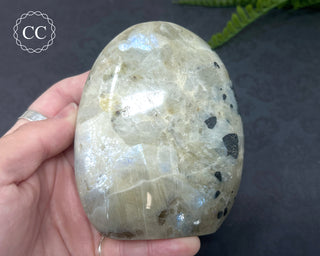 Garnierite | Green Moonstone Freeform #7