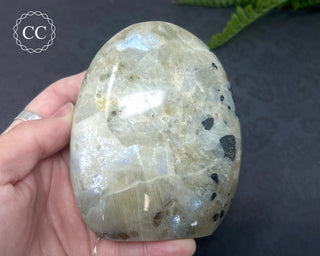 Garnierite | Green Moonstone Freeform #1