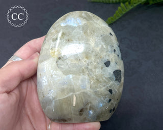 Garnierite | Green Moonstone Freeform #1