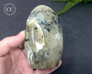 Garnierite | Green Moonstone Freeform #2