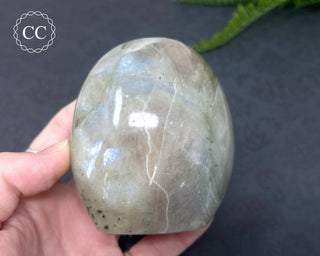 Garnierite | Green Moonstone Freeform #3