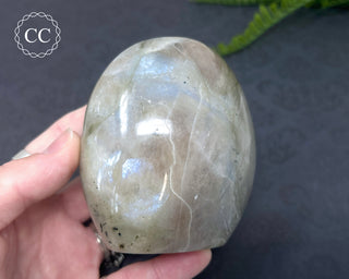 Garnierite | Green Moonstone Freeform #3