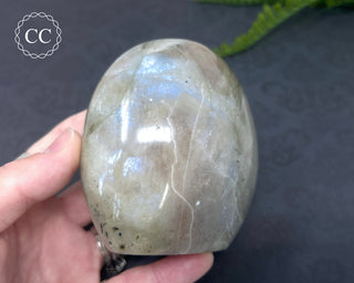 Garnierite | Green Moonstone Freeform #8