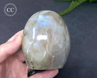 Garnierite | Green Moonstone Freeform #8