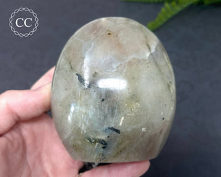 Garnierite | Green Moonstone Freeform #8