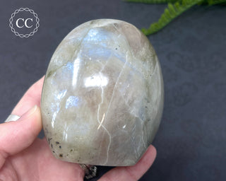 Garnierite | Green Moonstone Freeform #3