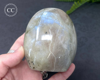 Garnierite | Green Moonstone Freeform #3