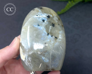 Garnierite | Green Moonstone Freeform #5