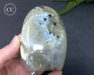 Garnierite | Green Moonstone Freeform #5