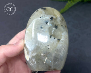 Garnierite | Green Moonstone Freeform #10