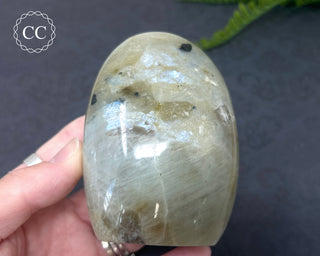 Garnierite | Green Moonstone Freeform #5