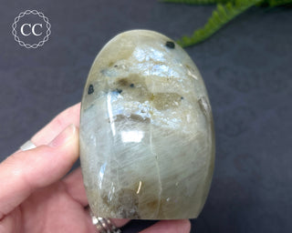 Garnierite | Green Moonstone Freeform #5