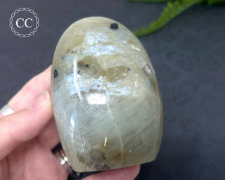 Garnierite | Green Moonstone Freeform #5