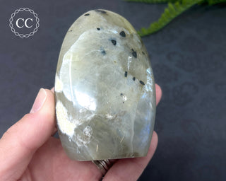 Garnierite | Green Moonstone Freeform #10