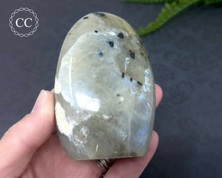 Garnierite | Green Moonstone Freeform #10