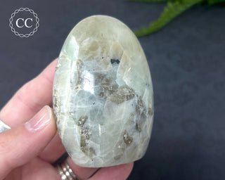 Garnierite | Green Moonstone Freeform #6