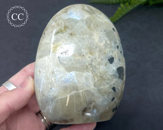 Garnierite | Green Moonstone Freeform #1